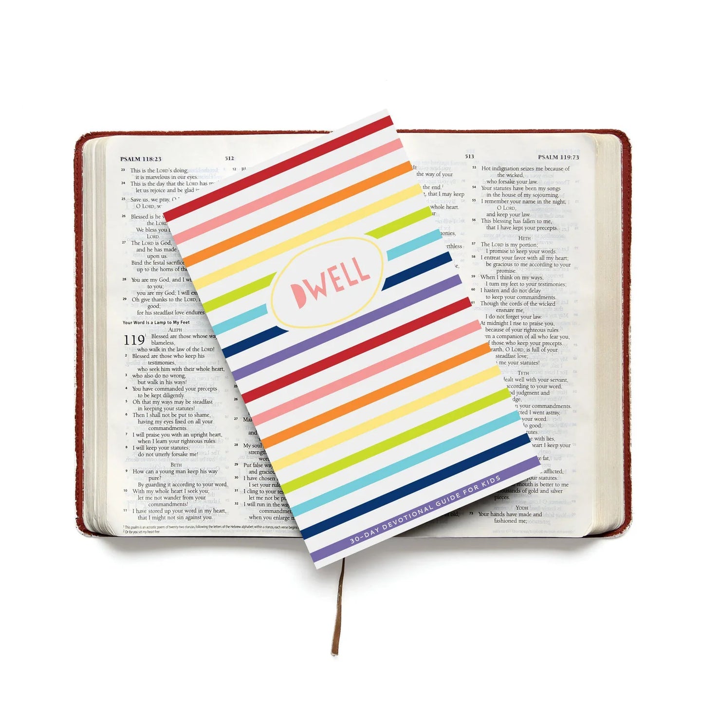 Dwell Bible Study Journal For Kids, Rainbow Stripe