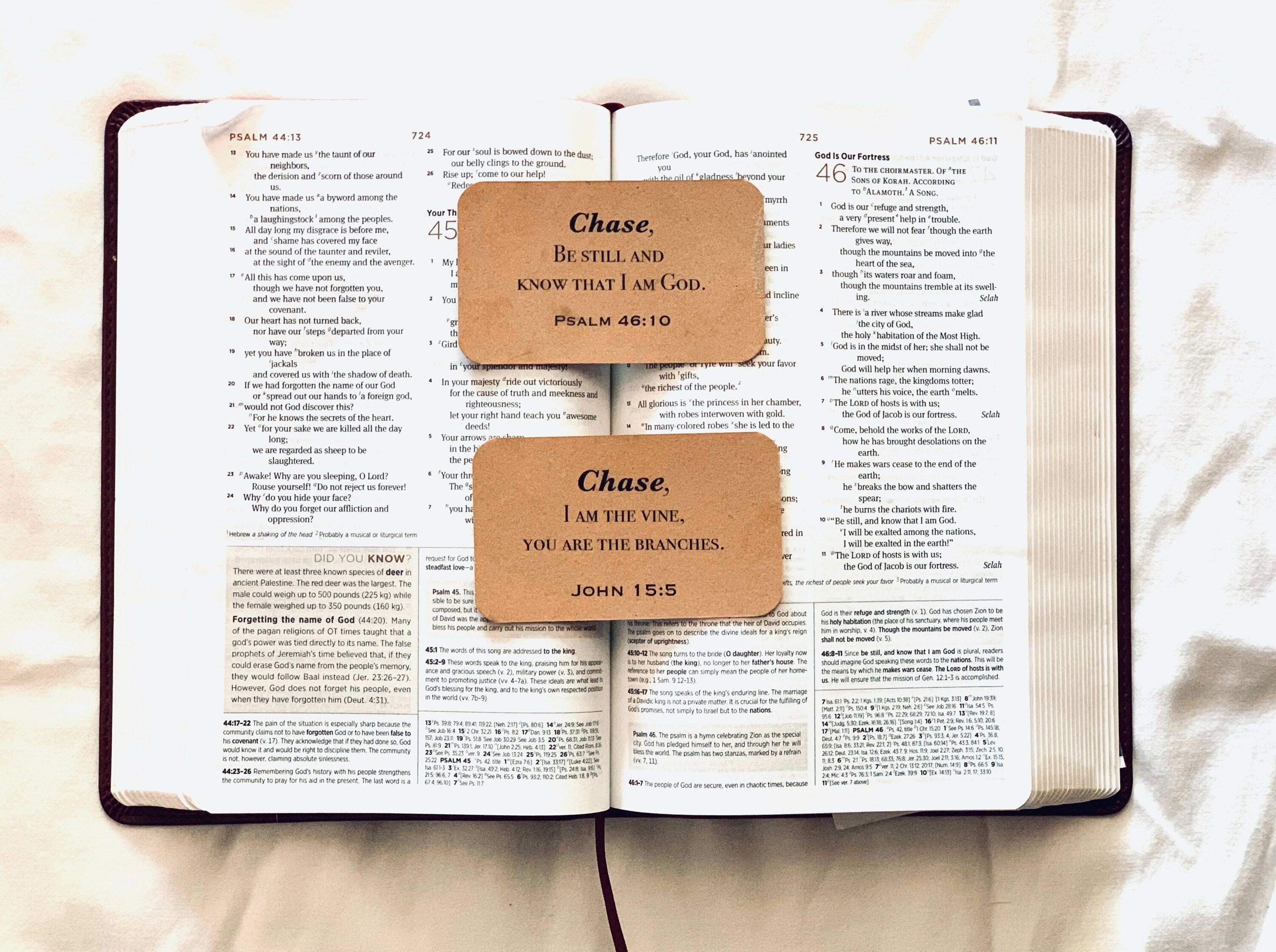 Men Scripture Cards Name / Bible Verse Memory Cards for Men / Mens Bible Study Journal BookMark / Christian Gifts for Men / Teacher Gifts