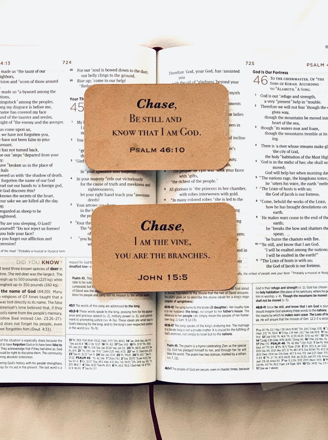 Men Scripture Cards Name / Bible Verse Memory Cards for Men / Mens Bible Study Journal BookMark / Christian Gifts for Men / Teacher Gifts