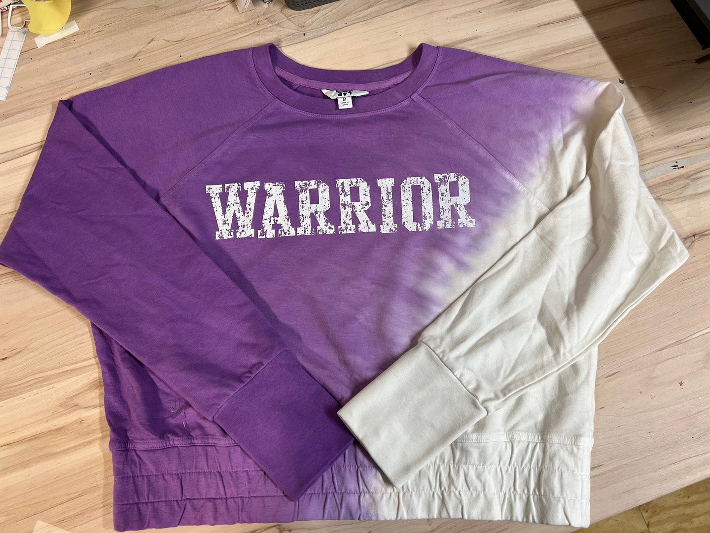 Warrior Purple Ombré Pullover, Upcycled Sweatshirt